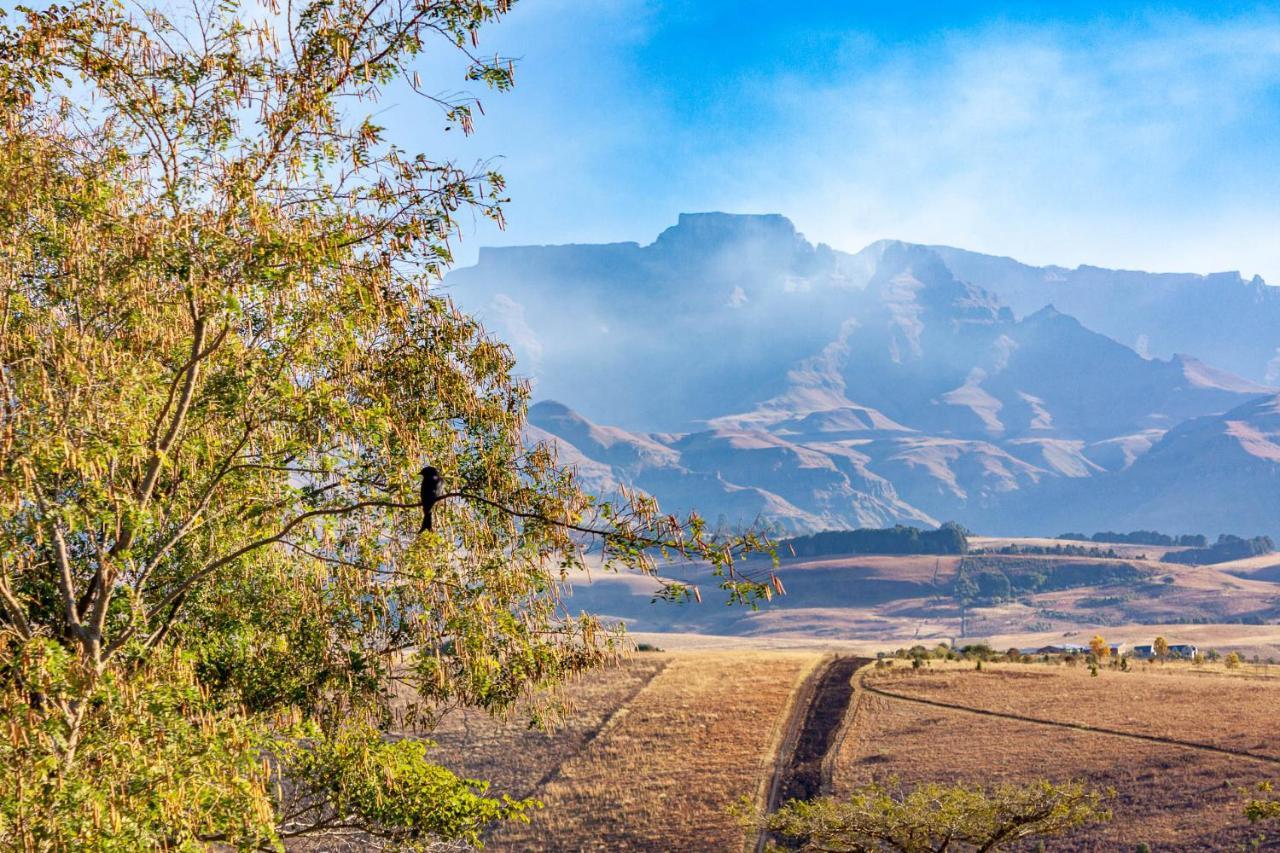 Champagne Valley Inkungu Lodge מראה חיצוני תמונה