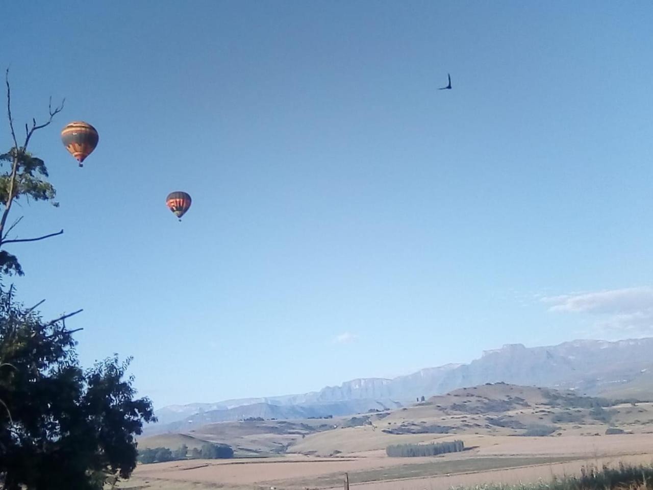 Champagne Valley Inkungu Lodge מראה חיצוני תמונה