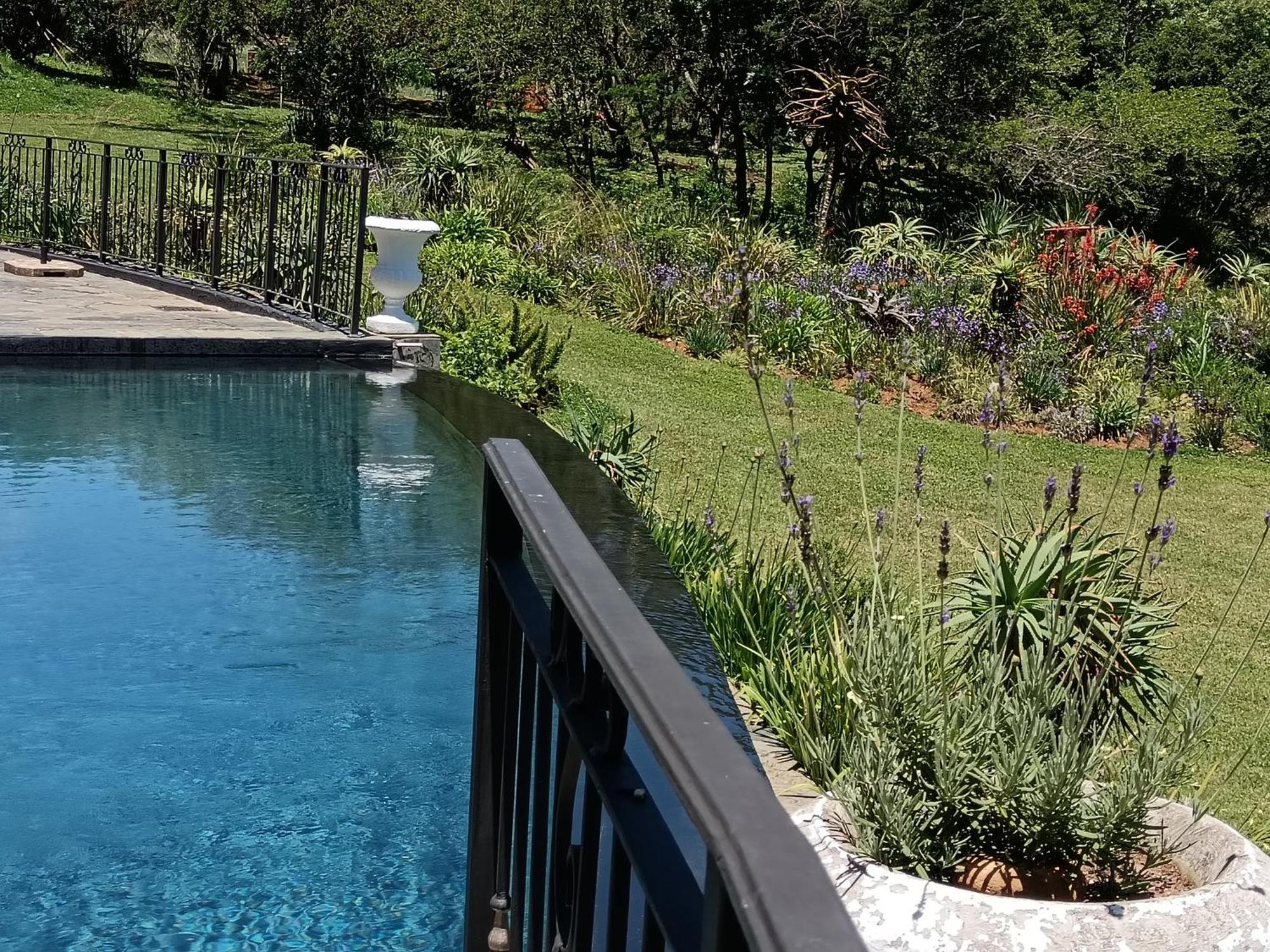 Champagne Valley Inkungu Lodge מראה חיצוני תמונה